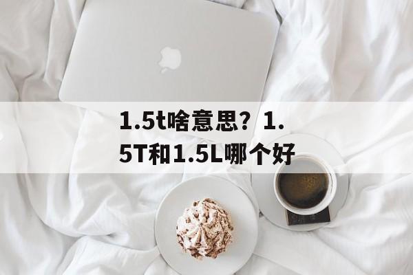 1.5t啥意思？1.5T和1.5L哪个好-第1张图片-
