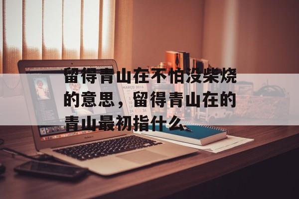 留得青山在不怕没柴烧的意思，留得青山在的青山最初指什么-第1张图片-