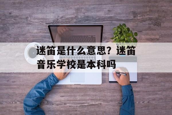 迷笛是什么意思？迷笛音乐学校是本科吗-第1张图片-
