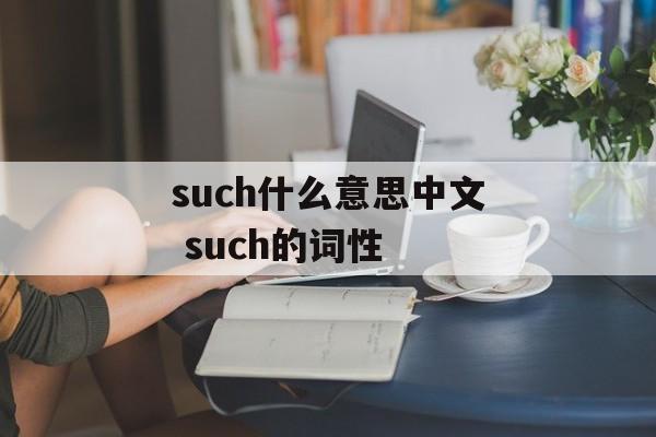 such什么意思中文 such的词性-第1张图片-