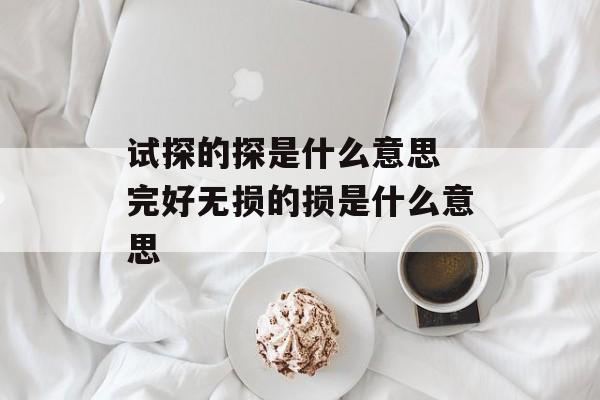试探的探是什么意思 完好无损的损是什么意思-第1张图片-