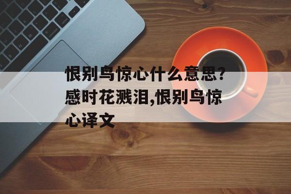 恨别鸟惊心什么意思？感时花溅泪,恨别鸟惊心译文-第1张图片-