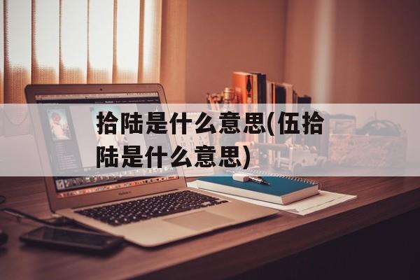 拾陆是什么意思(伍拾陆是什么意思)-第1张图片-