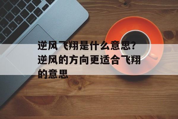 逆风飞翔是什么意思？逆风的方向更适合飞翔的意思-第1张图片-