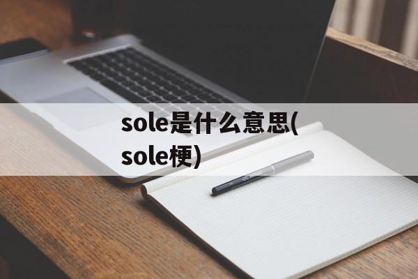 sole是什么意思(sole梗)-第1张图片-