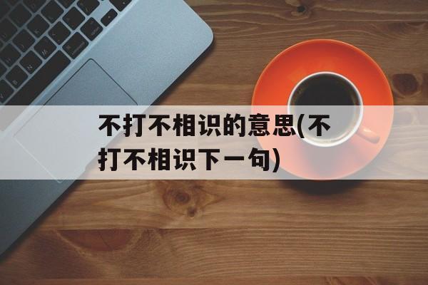 不打不相识的意思(不打不相识下一句)-第1张图片-