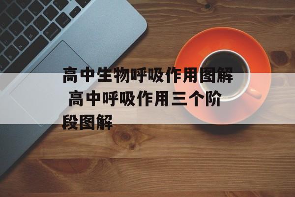 高中生物呼吸作用图解 高中呼吸作用三个阶段图解-第1张图片-