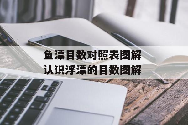 鱼漂目数对照表图解 认识浮漂的目数图解-第1张图片-