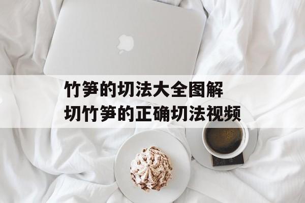 竹笋的切法大全图解 切竹笋的正确切法视频-第1张图片-