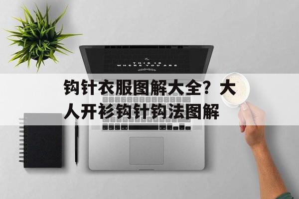 钩针衣服图解大全？大人开衫钩针钩法图解-第1张图片-