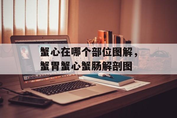 蟹心在哪个部位图解，蟹胃蟹心蟹肠解剖图-第1张图片-