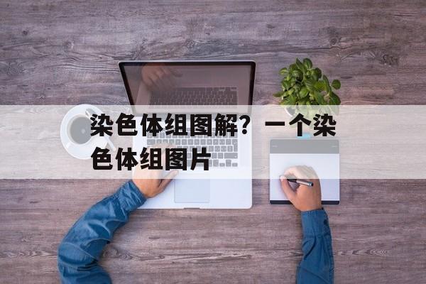 染色体组图解？一个染色体组图片-第1张图片-
