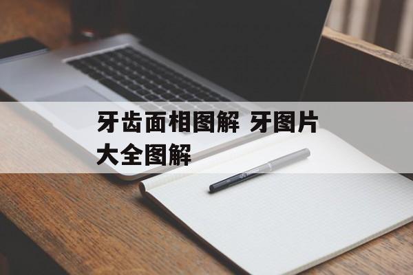 牙齿面相图解 牙图片大全图解-第1张图片-