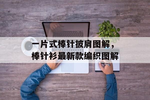 一片式棒针披肩图解，棒针衫最新款编织图解-第1张图片-