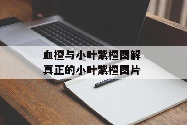 血檀与小叶紫檀图解 真正的小叶紫檀图片-第1张图片-