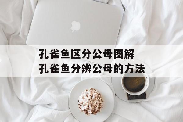 孔雀鱼区分公母图解 孔雀鱼分辨公母的方法-第1张图片-