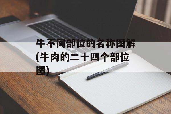 牛不同部位的名称图解(牛肉的二十四个部位图)-第1张图片-