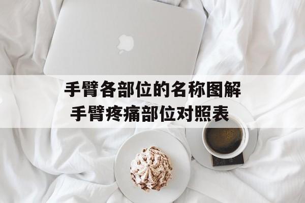 手臂各部位的名称图解 手臂疼痛部位对照表-第1张图片-