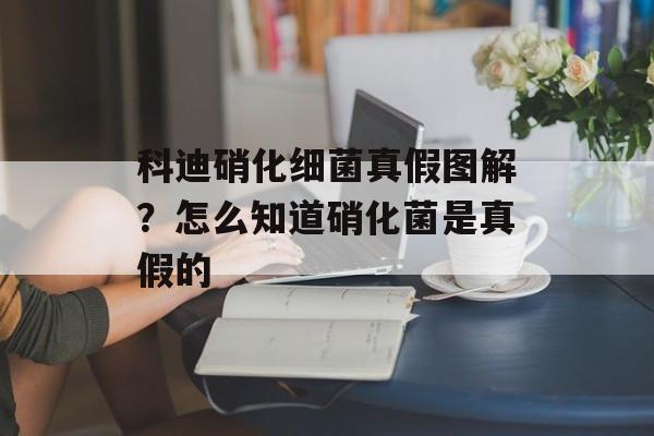 科迪硝化细菌真假图解？怎么知道硝化菌是真假的-第1张图片-