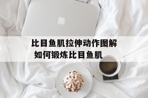 比目鱼肌拉伸动作图解 如何锻炼比目鱼肌-第1张图片-