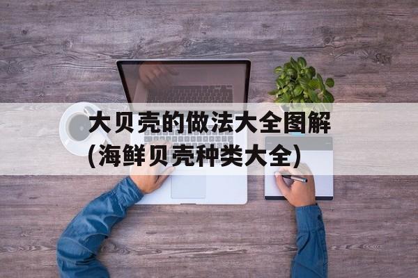大贝壳的做法大全图解(海鲜贝壳种类大全)-第1张图片-