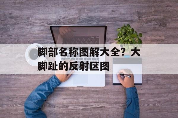 脚部名称图解大全？大脚趾的反射区图-第1张图片-