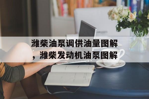 潍柴油泵调供油量图解，潍柴发动机油泵图解-第1张图片-
