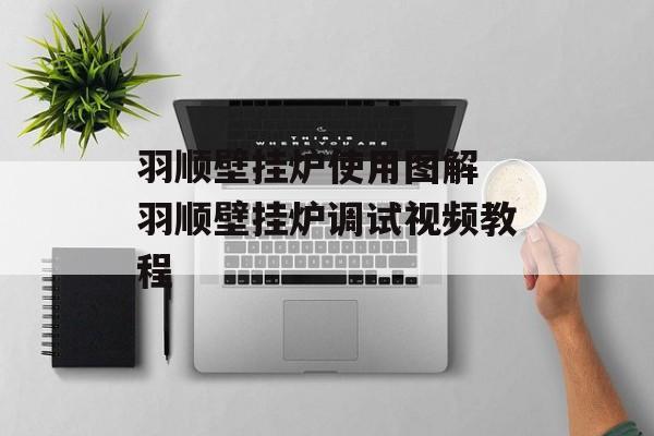 羽顺壁挂炉使用图解 羽顺壁挂炉调试视频教程-第1张图片-