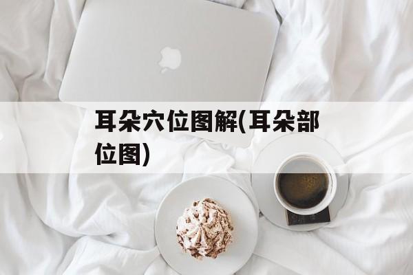 耳朵穴位图解(耳朵部位图)-第1张图片-