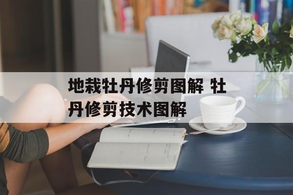 地栽牡丹修剪图解 牡丹修剪技术图解-第1张图片-