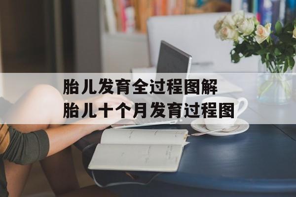 胎儿发育全过程图解 胎儿十个月发育过程图-第1张图片-
