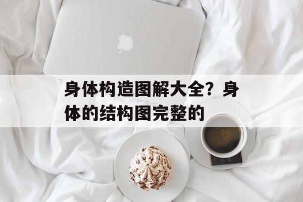 身体构造图解大全？身体的结构图完整的-第1张图片-