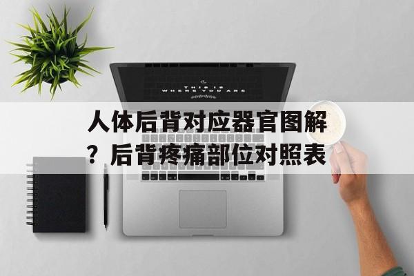 人体后背对应器官图解？后背疼痛部位对照表-第1张图片-