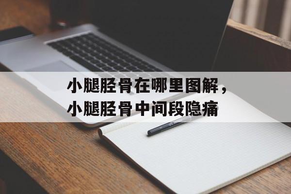 小腿胫骨在哪里图解，小腿胫骨中间段隐痛-第1张图片-