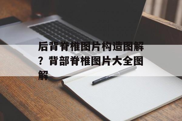 后背脊椎图片构造图解？背部脊椎图片大全图解-第1张图片-