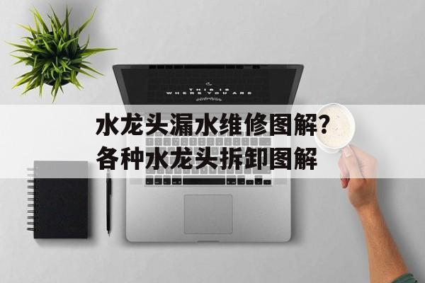 水龙头漏水维修图解？各种水龙头拆卸图解-第1张图片-