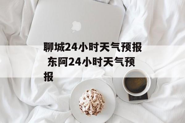 聊城24小时天气预报 东阿24小时天气预报-第1张图片-