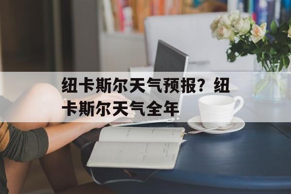 纽卡斯尔天气预报？纽卡斯尔天气全年-第1张图片-