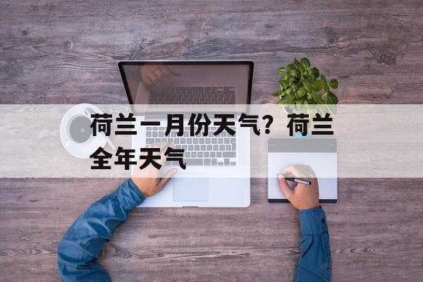 荷兰一月份天气？荷兰全年天气-第1张图片-