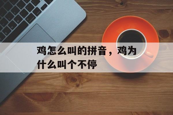 鸡怎么叫的拼音，鸡为什么叫个不停-第1张图片-