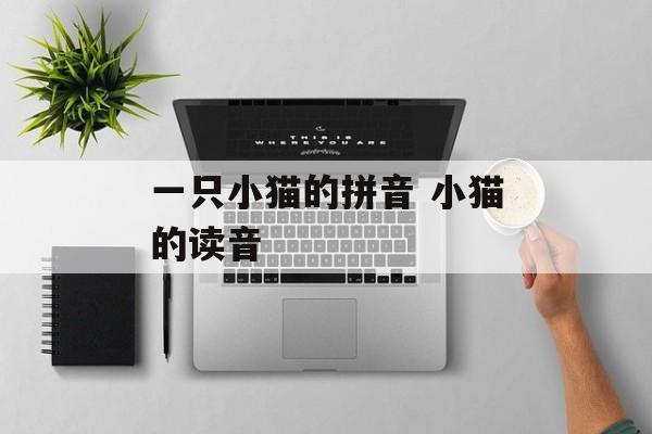 一只小猫的拼音 小猫的读音-第1张图片-