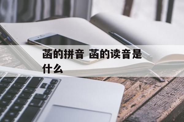 菡的拼音 菡的读音是什么-第1张图片-