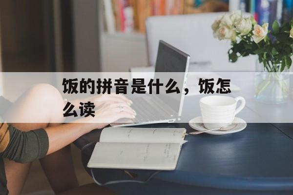 饭的拼音是什么，饭怎么读-第1张图片-