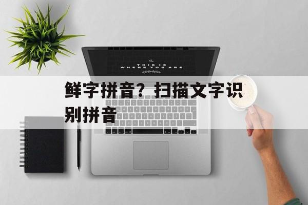 鲜字拼音？扫描文字识别拼音-第1张图片-