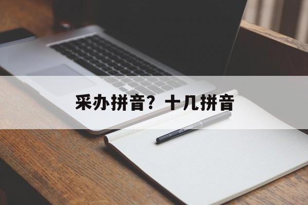 采办拼音？十几拼音-第1张图片-