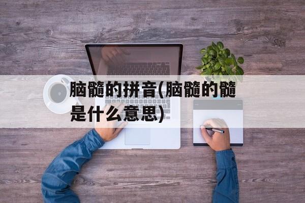 脑髓的拼音(脑髓的髓是什么意思)-第1张图片-