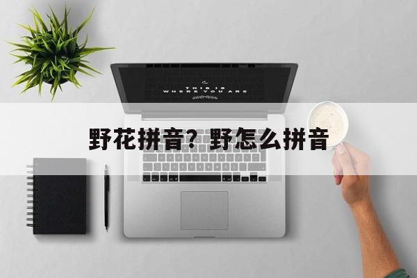 野花拼音？野怎么拼音-第1张图片-