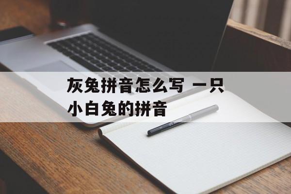 灰兔拼音怎么写 一只小白兔的拼音-第1张图片-