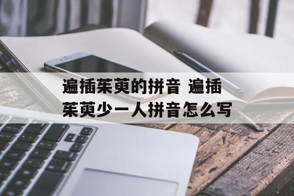 遍插茱萸的拼音 遍插茱萸少一人拼音怎么写-第1张图片-