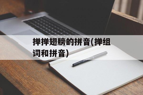 掸掸翅膀的拼音(掸组词和拼音)-第1张图片-